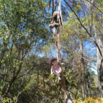 The Eucalyptus Rope.