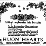 Haywood's Biscuits