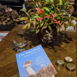 THE BRIDGE - A BOOK REVIEW