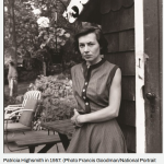 BLOOMINGDALE'S & THE TALENTED PATRICIA HIGHSMITH